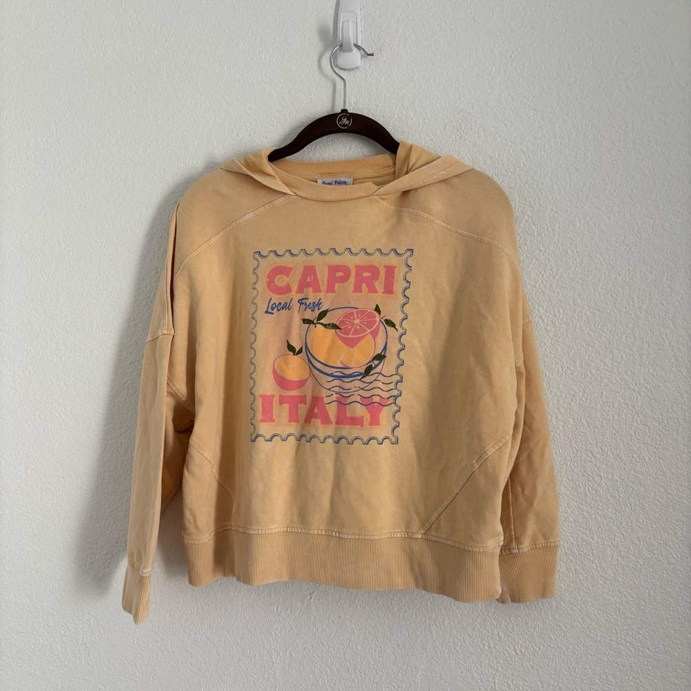 NWT Pastel Palette Stitch Fix Sz Large Adele Graphic Drop Shoulder Capri Hoodie